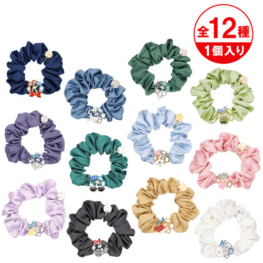 コレクタブルヘアゴム（全12種）