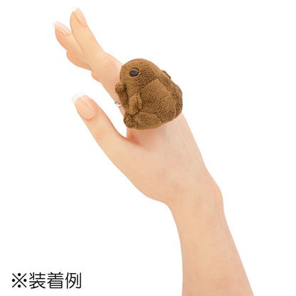 リング