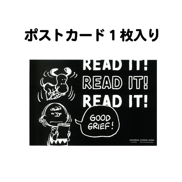 ガジェットケース